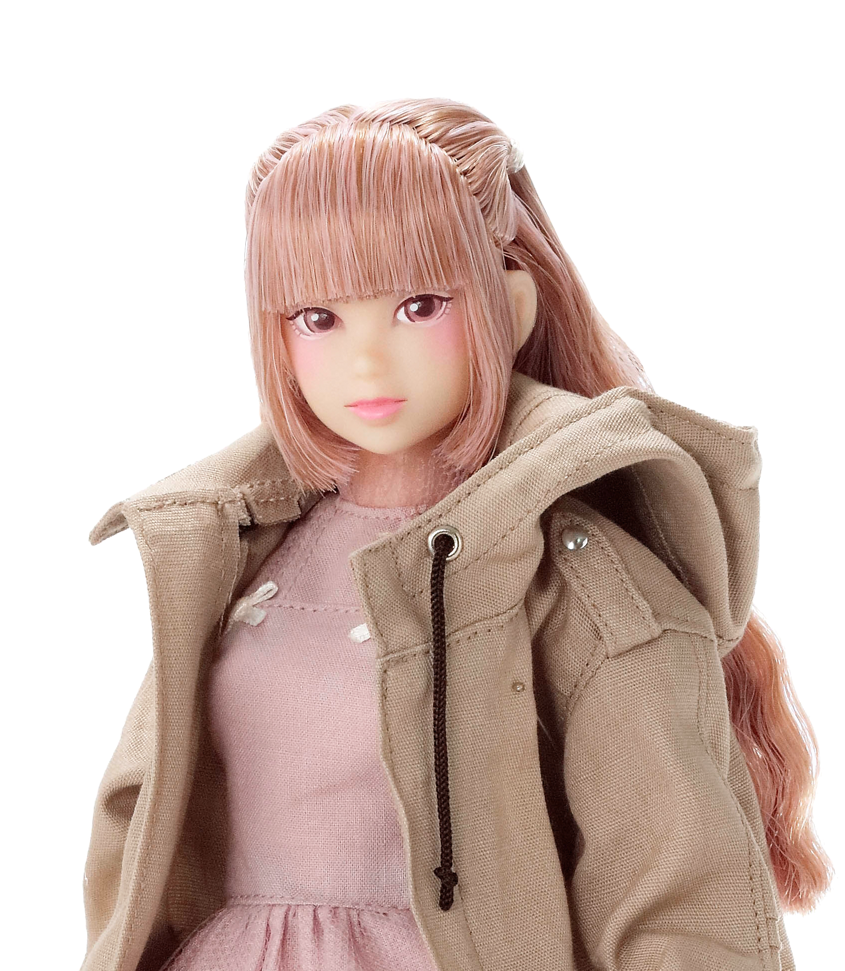 CCS 22AW momoko | PW-momoko | PetWORKs