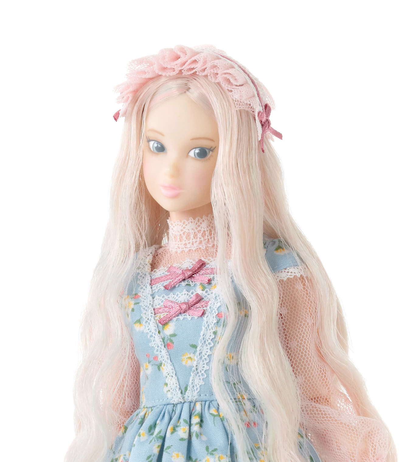 CCS 23SS momoko | PW-momoko | PetWORKs