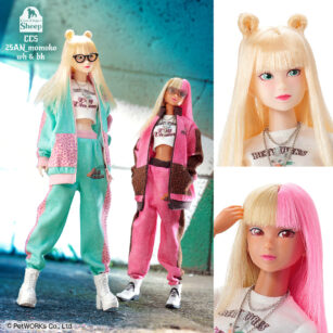 置物 momoko CCS 25AN momoko」発売 | Information | PetWORKs
